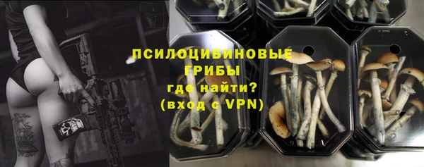 прущие грибы Балахна