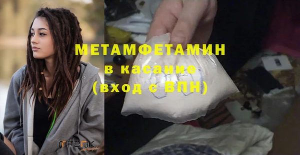 прущие грибы Балахна