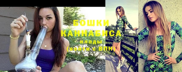 прущие грибы Балахна