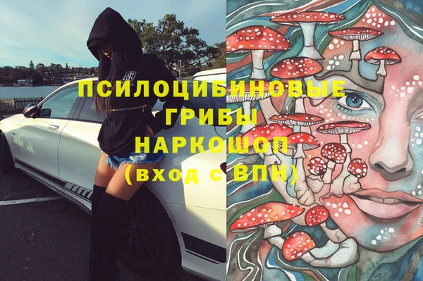 прущие грибы Балахна