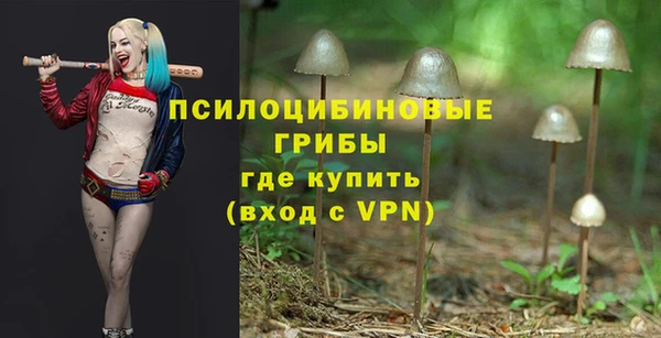 гашик Балабаново