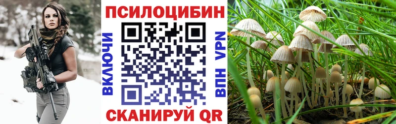 Псилоцибиновые грибы мухоморы Шумерля